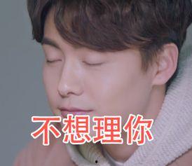 马天宇表情包带字